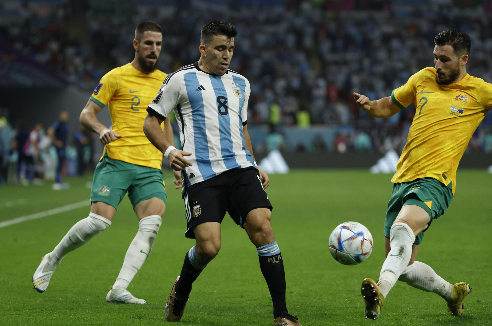 Las fotos del Argentina - Australia