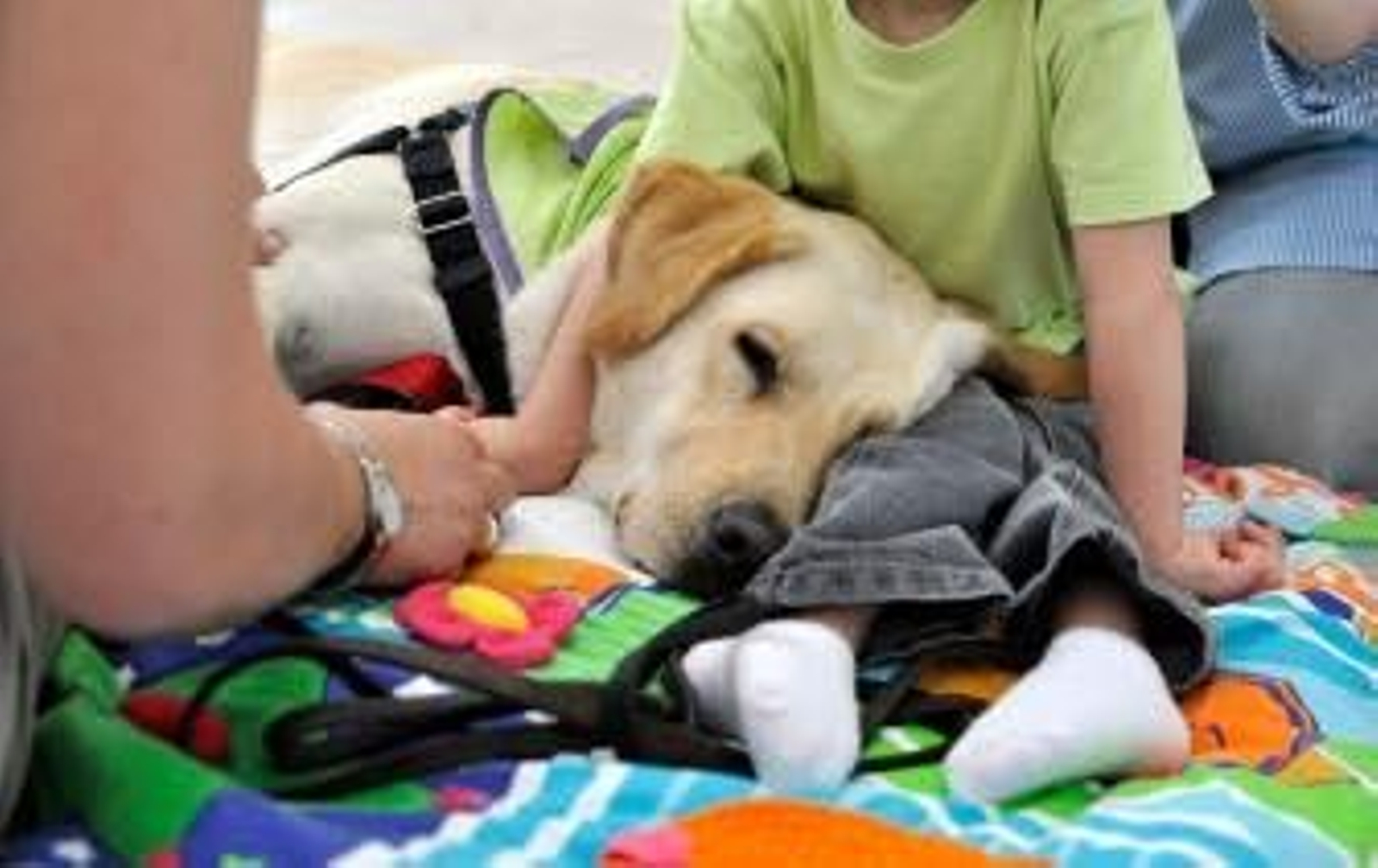 Caricias caninas, el remedio más humano