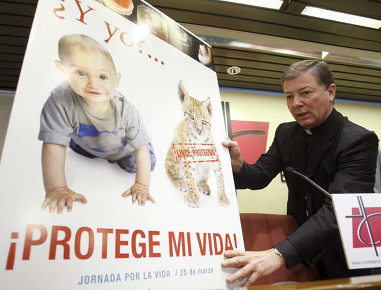 Los obispos creen que se protege más a los linces que a los bebes