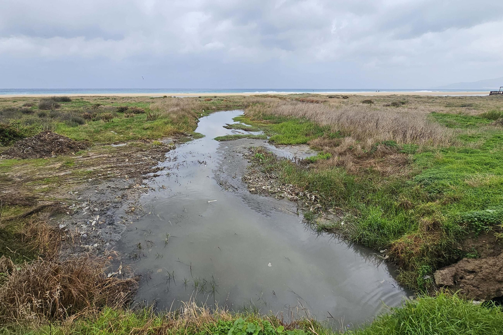 Las fotos de los efectos de la borrasca Emilia en el Campo de Gibraltar