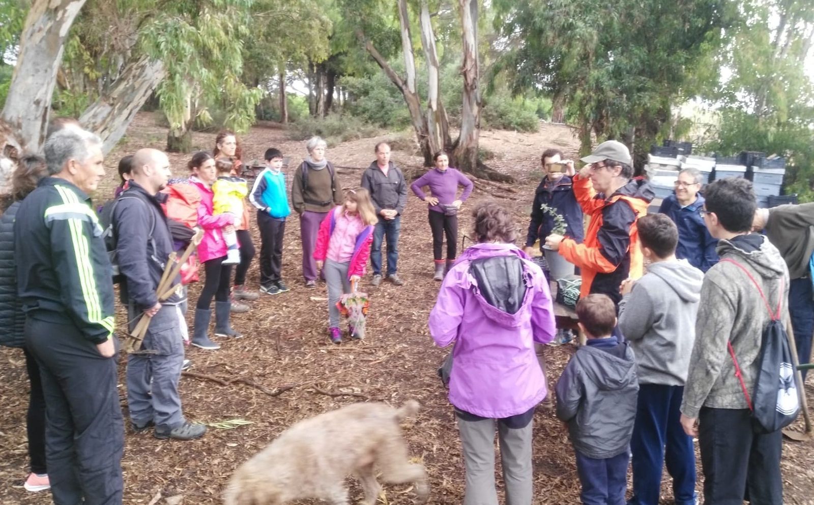 Ecologistas en Acción y La Borraja celebraron el pasado domingo el VI Día de la Bellota en La Dinamita.