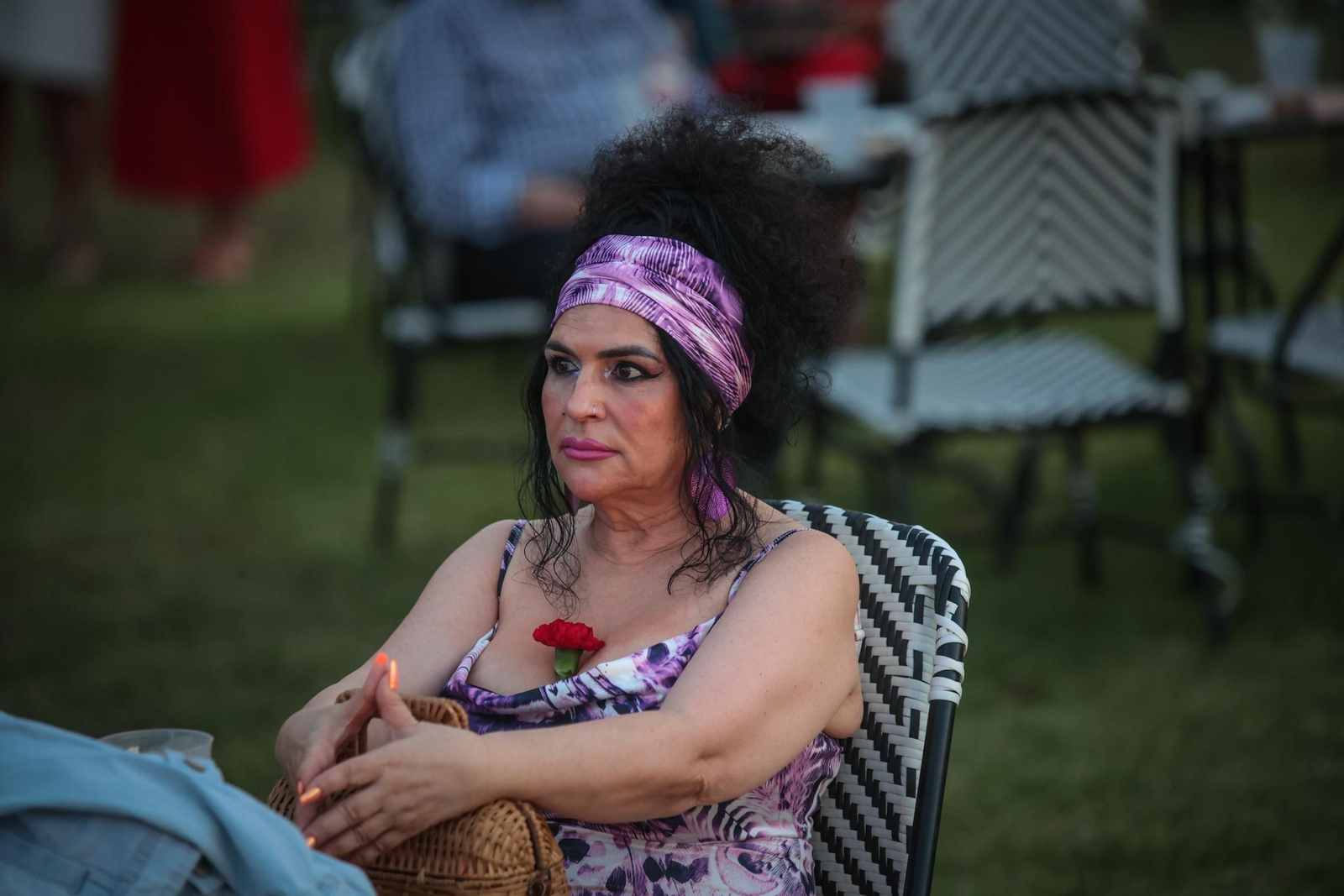 Imágenes del concierto de Raphael en el Tío Pepe Festival