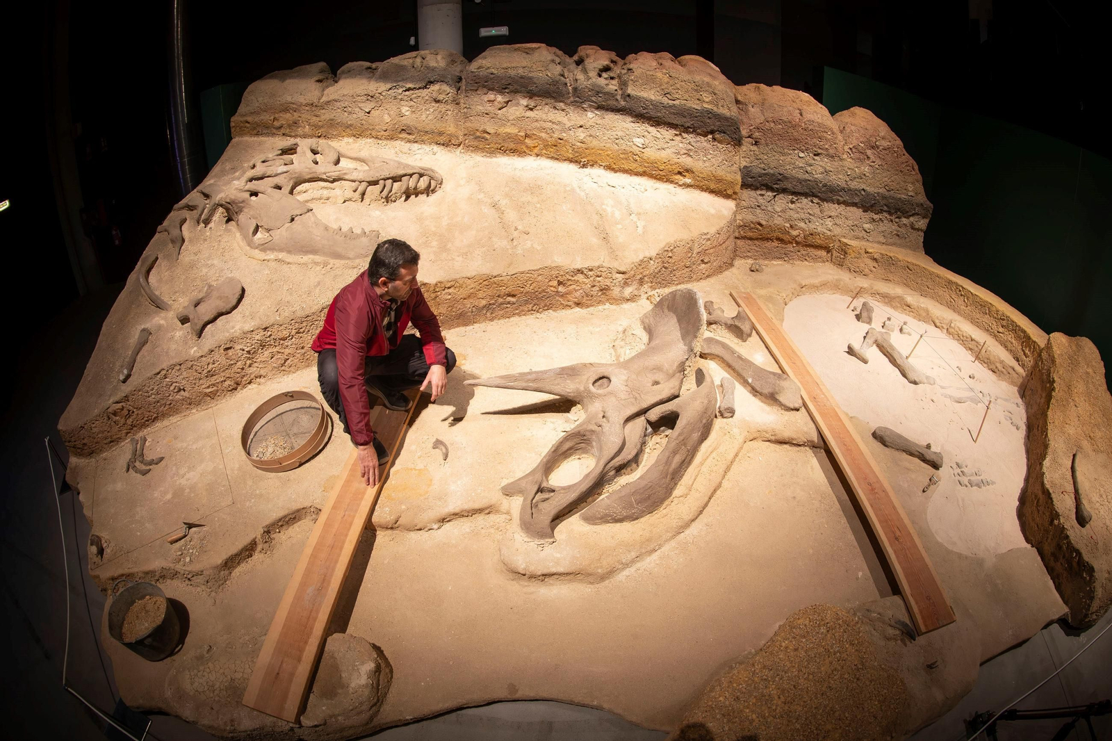 Así se han apoderado los dinosaurios del Parque de las Ciencias de Granada