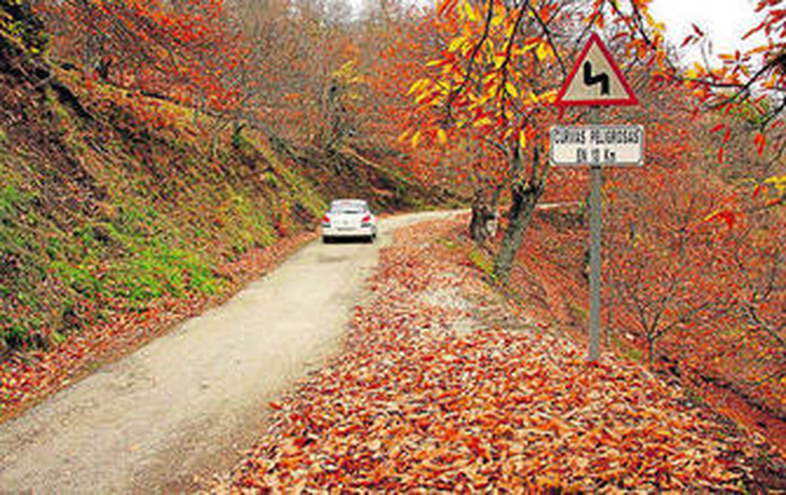 Carretera entre el término municipal de Pujerra y San Pedro Alcántara.