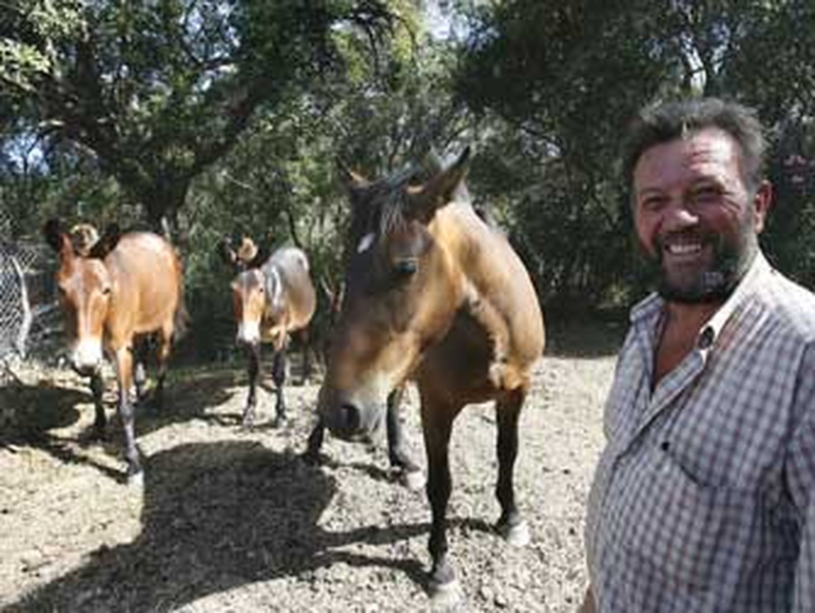 La especie que dejó el monte