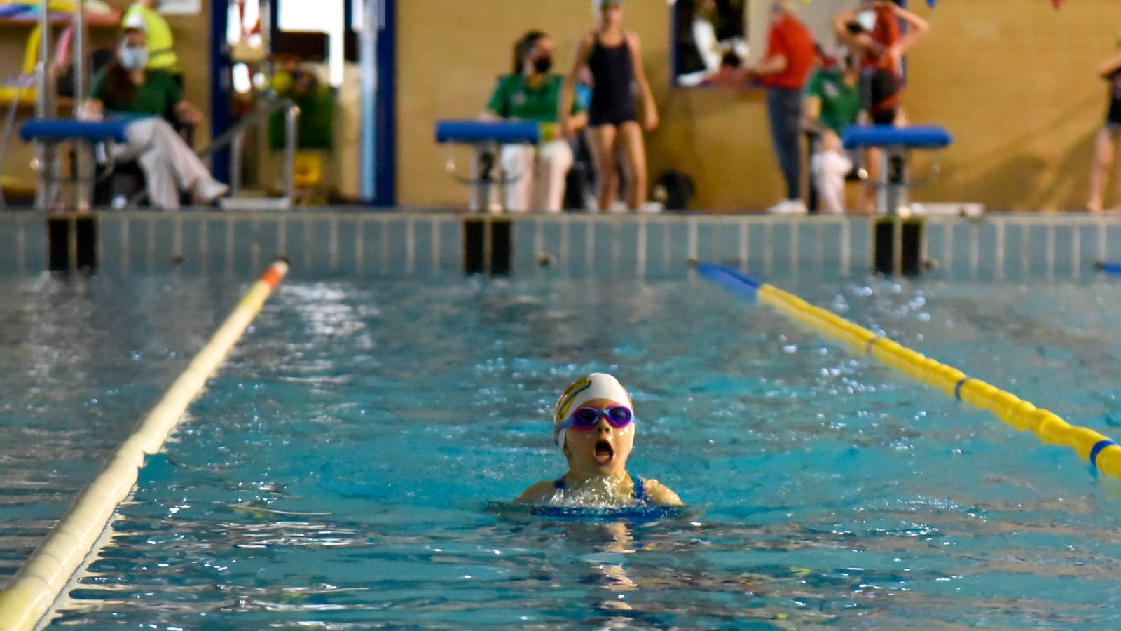 Las fotos del XVII trofeo de natación Día de Andalucía