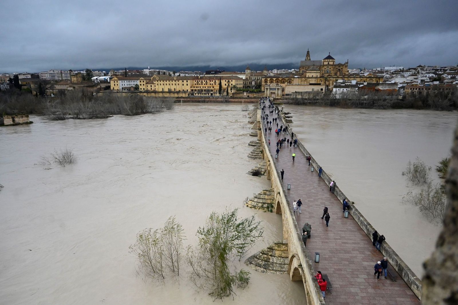La impresionante crecida del río Guadalquivir: se acerca a los 6 metros a su paso por Córdoba
