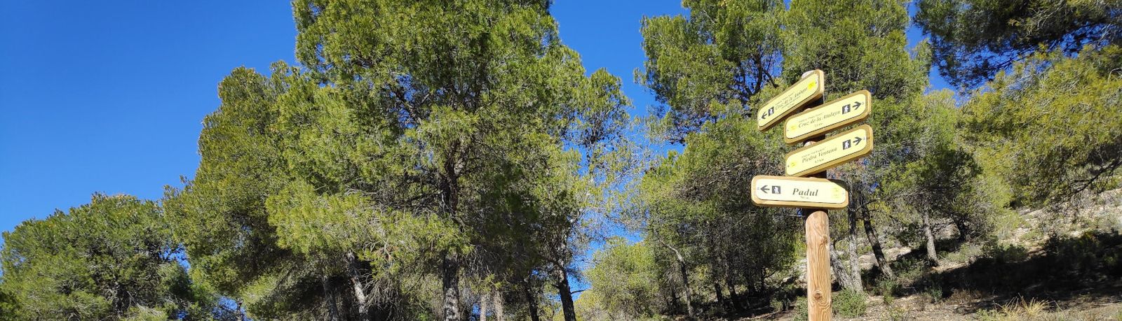 Una nueva edición de la caminata contra la diabetes llega a Padul