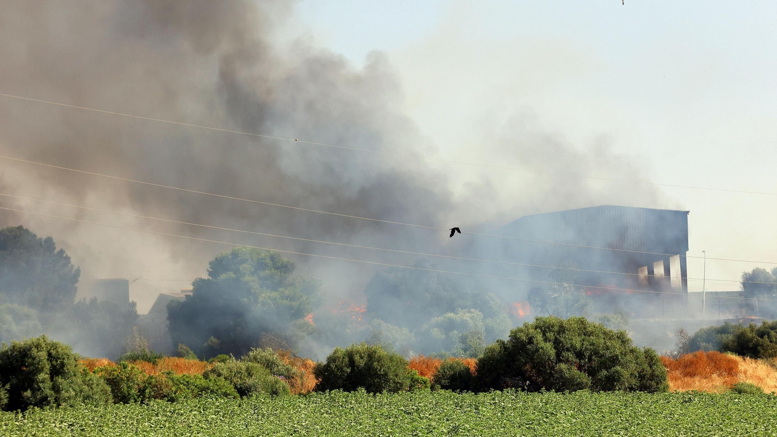 Imágenes del incendio en la planta de Las Calandrias en Jerez