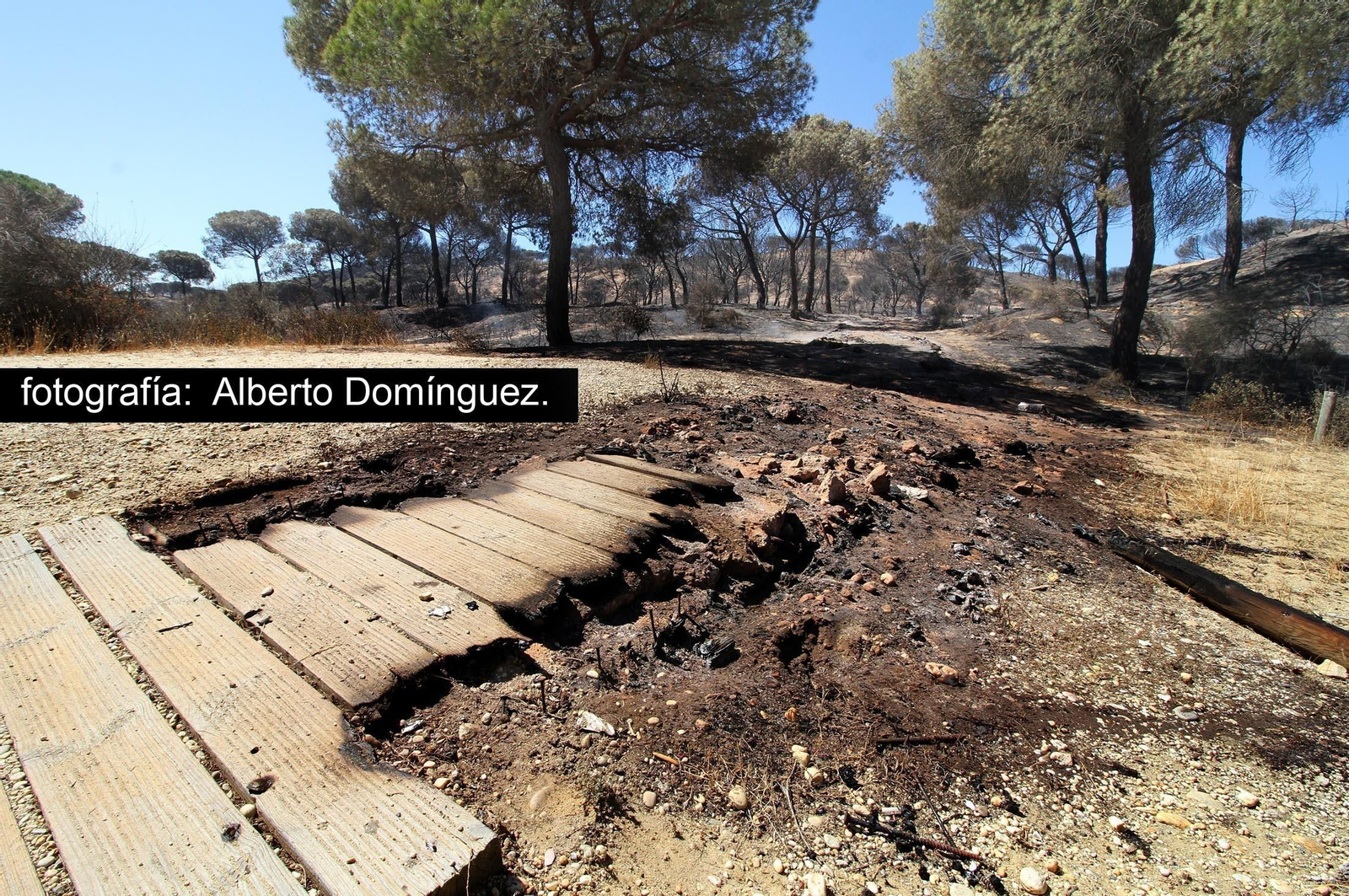 Imágenes de Cuesta Maneli tras el incendio.