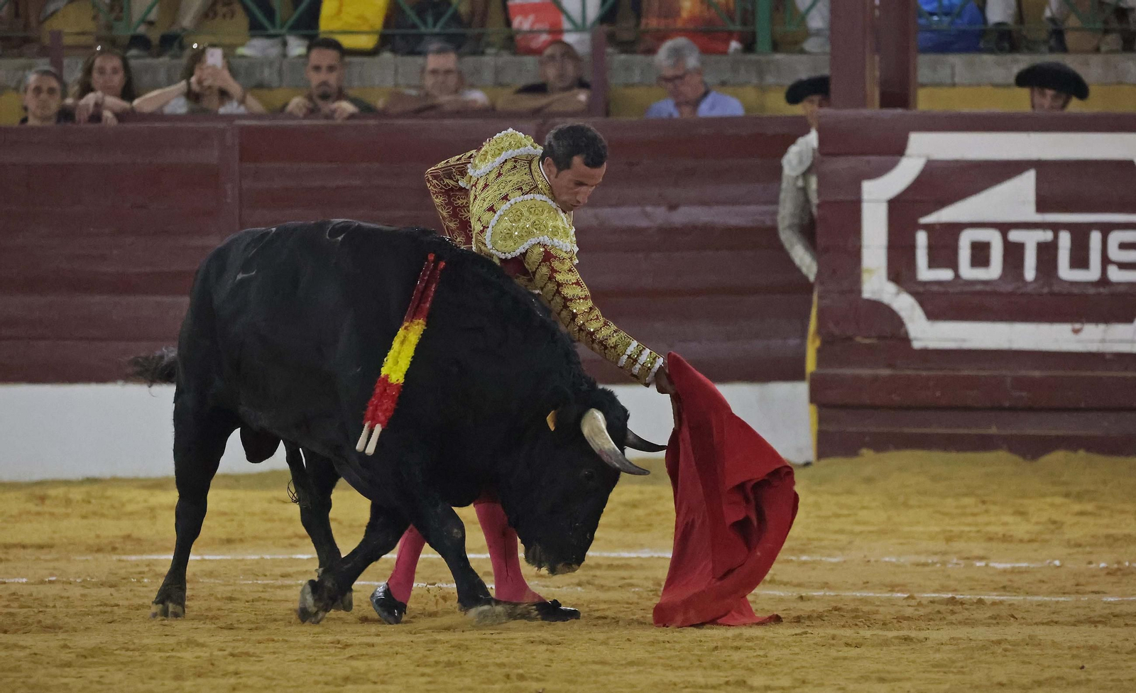 Fotos de la corrida del viernes de la Feria de La Línea: Morante de la Puebla, Talavante y David de Miranda Fotos de la corrida del viernes de la Feria de La Línea: Morante de la Puebla, Talavante y David de Miranda