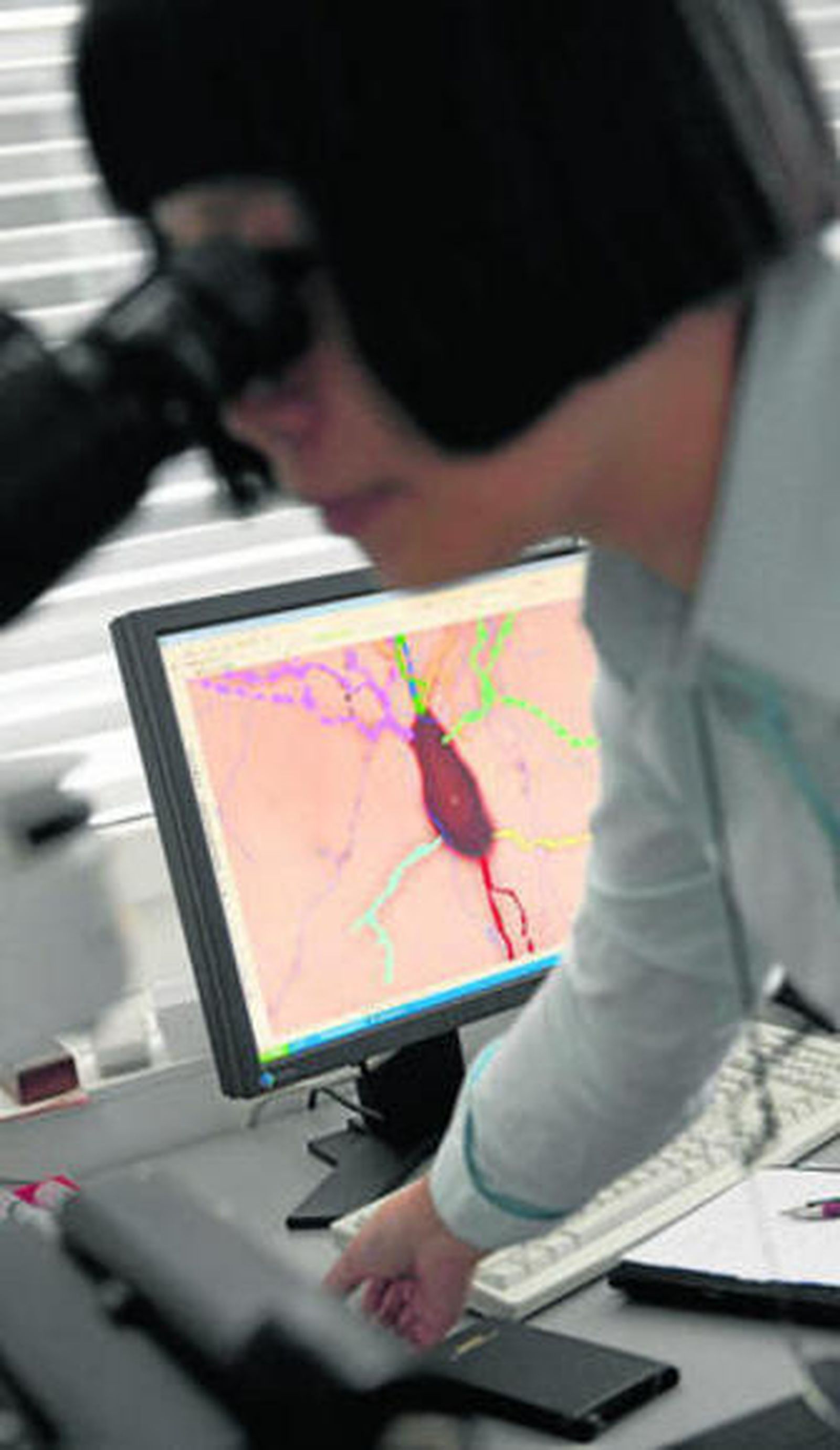 Una de las investigadoras del proyecto 'Cerebro Humano'.