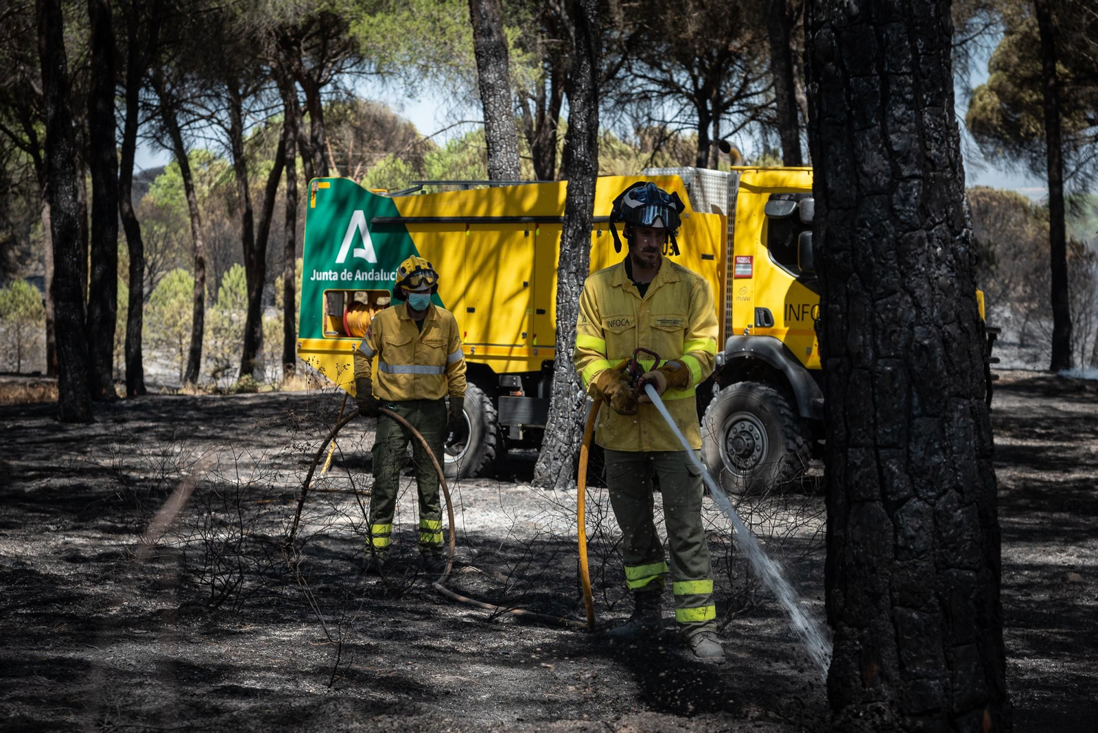 Imágenes de las labores de extinción del incendio de Bonares