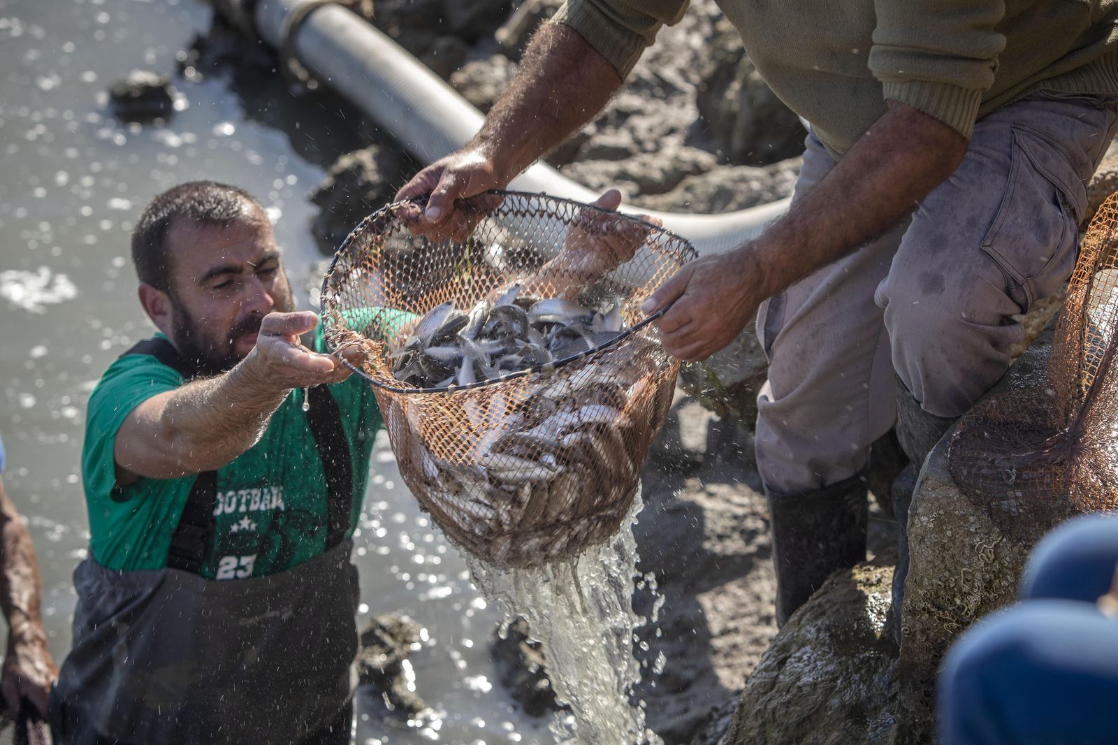 El despesque de las Jornadas del Estero, en imágenes