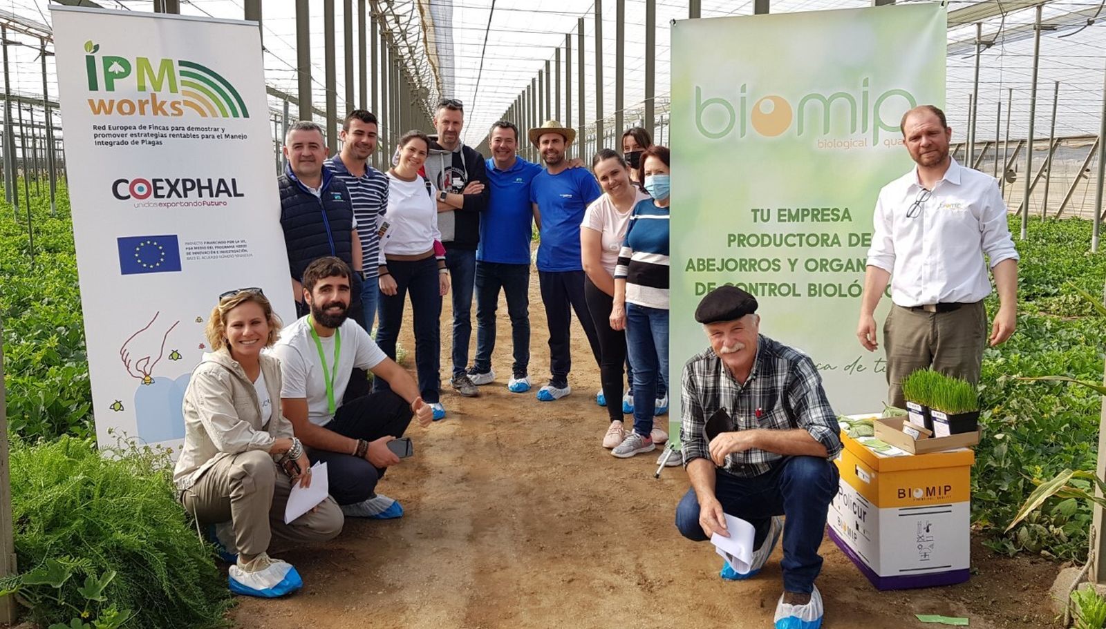 Jornada de IPMWorks, en colaboración con Costa de Níjar S.A.T. y Biomip. sobre control biológico en melón