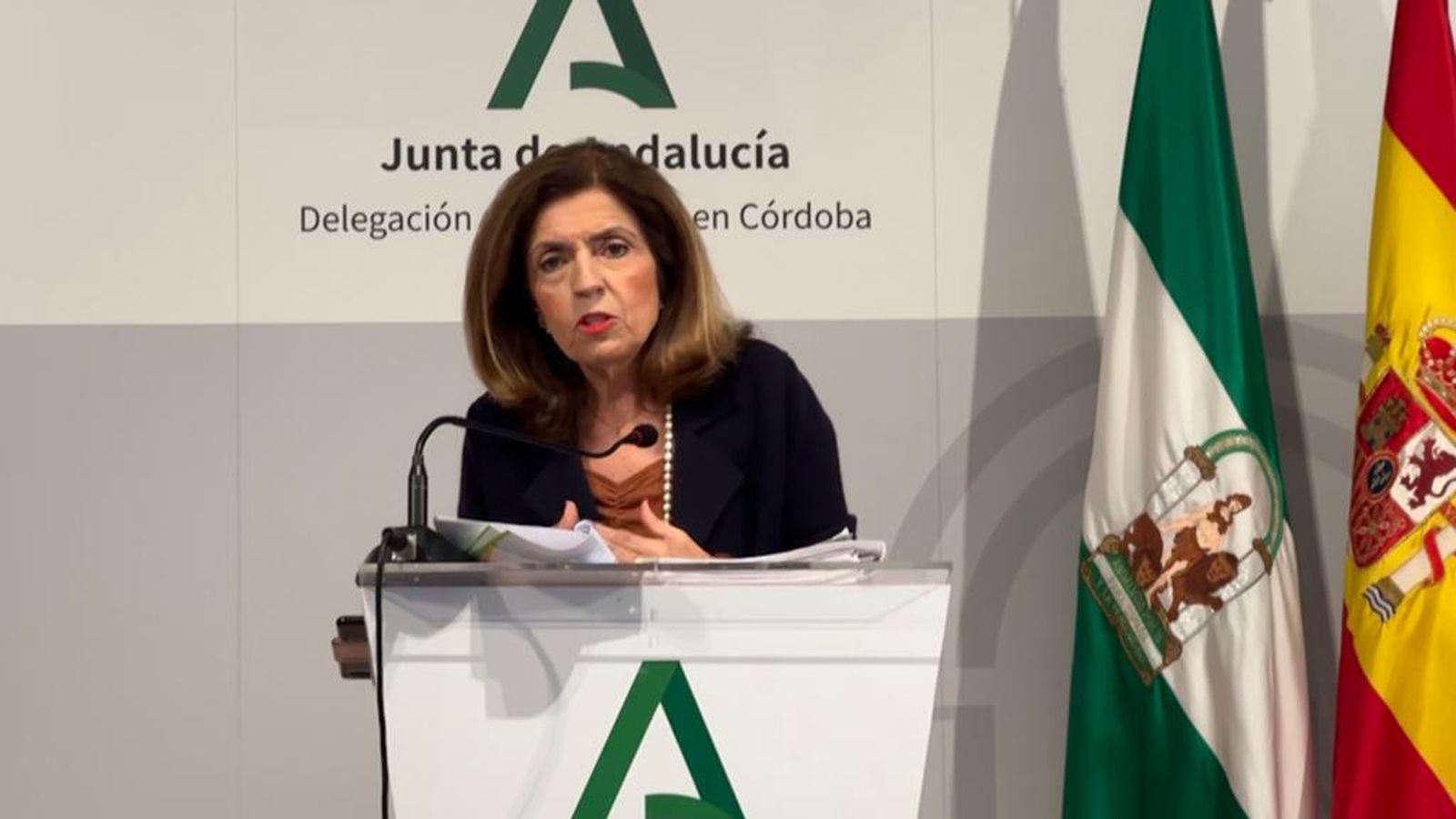 La delegada de Salud y Consumo, María Jesús Botella.