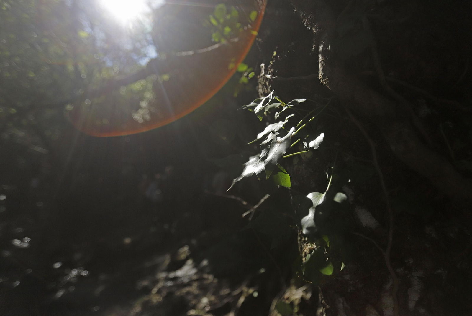 Ruta de Senderismo Charco Malo