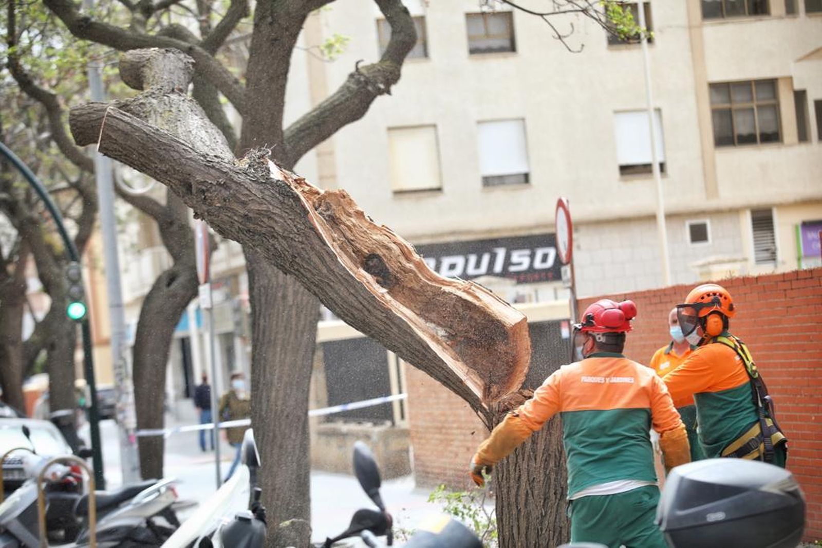 Imágenes: Los efectos del temporal de viento de Levante en Cádiz