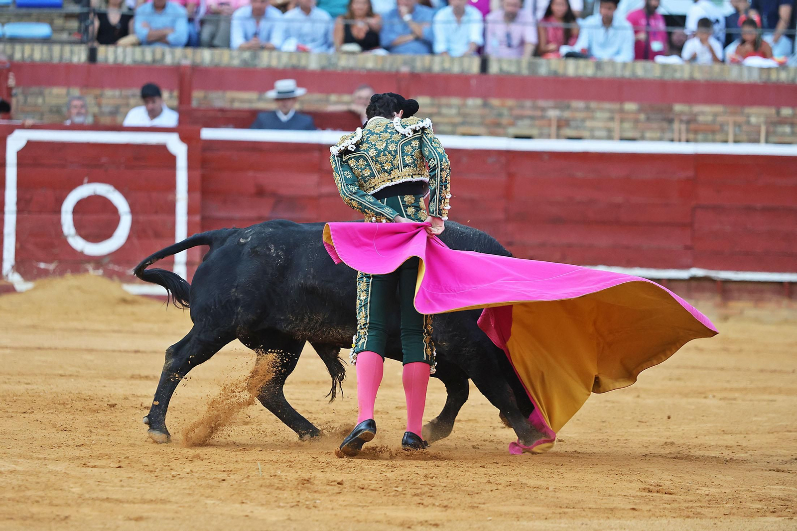 Toros La Merced 2024 Novillada con picadores(
