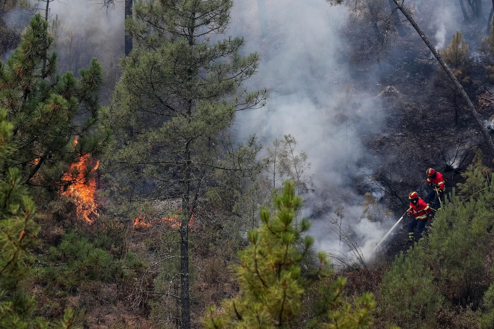 La extinción del incendio del centro de Portugal, en imágenes