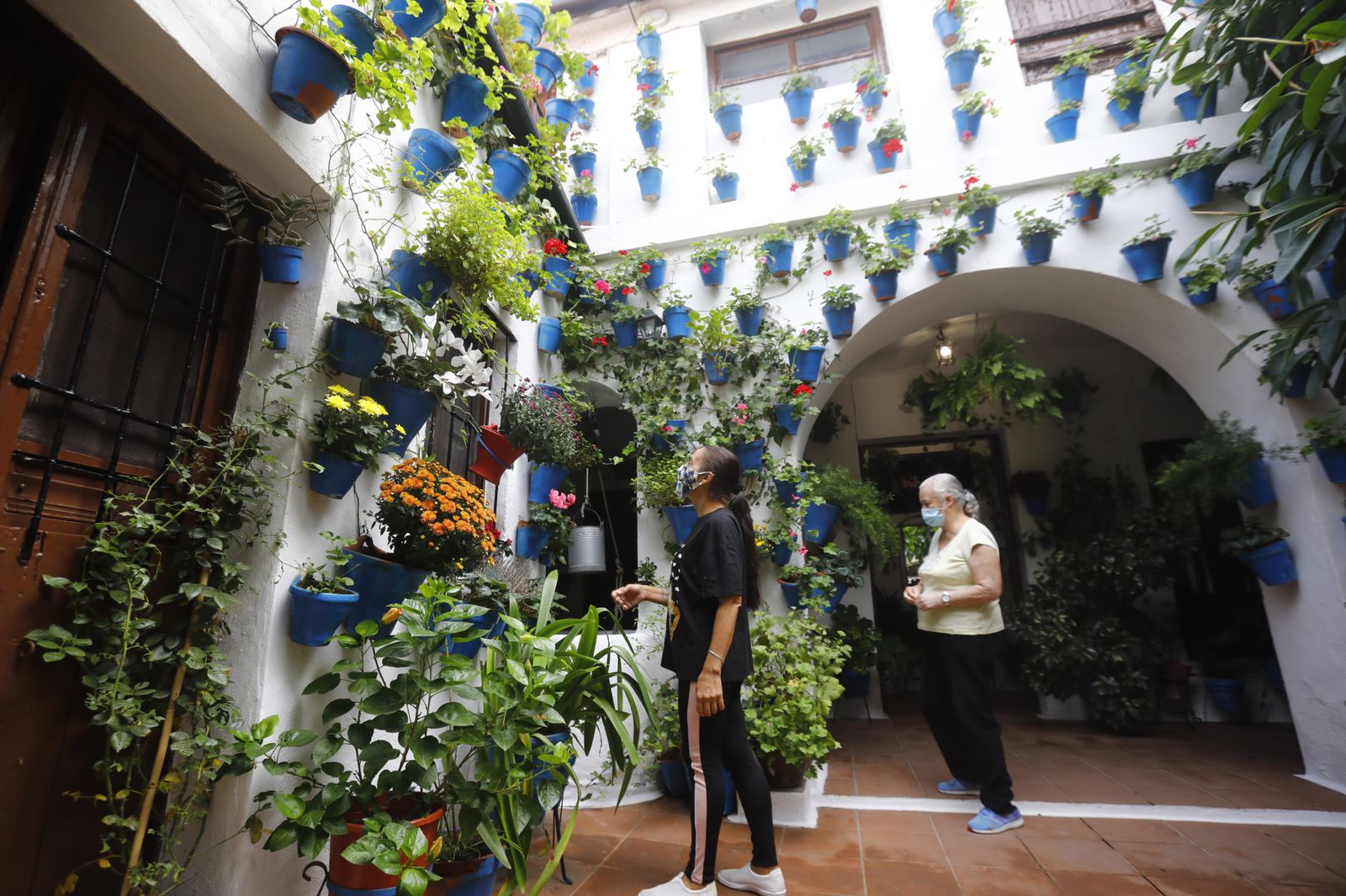 Un recorrido en fotografías por los Patios de Córdoba un domingo de otoño