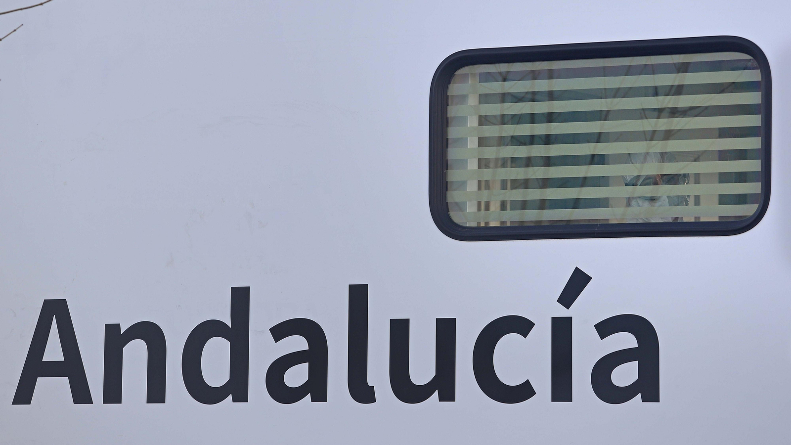 Cribados masivos en San Roque