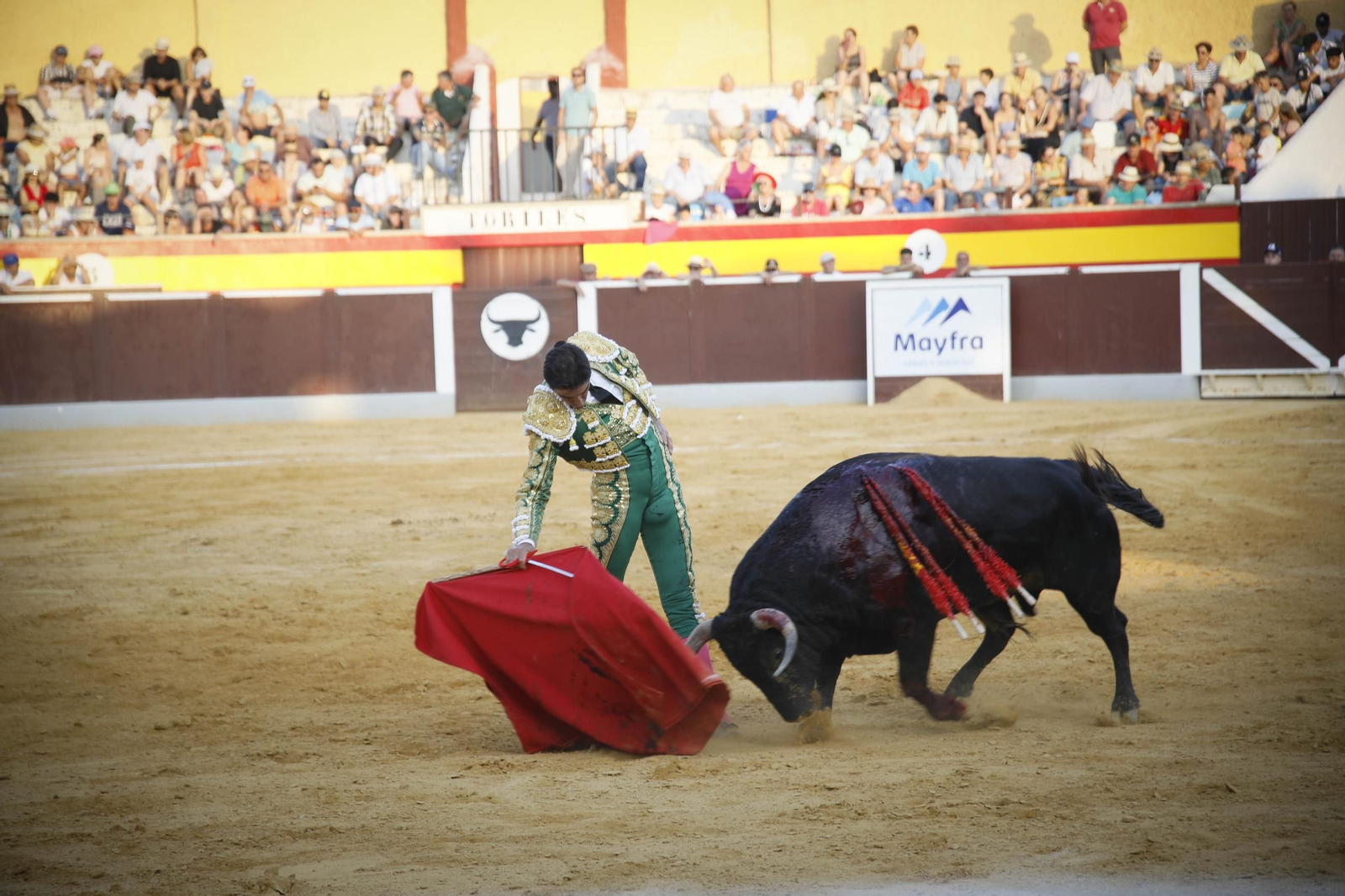 Corrida de toros Berja con un toro indultado, en imágenes
