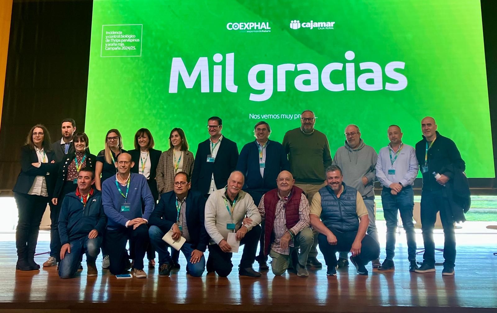 Jornada Thrips parvispinus.