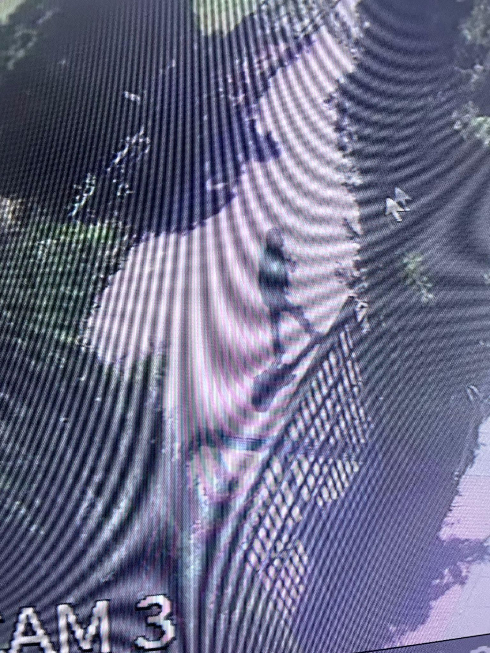 Presunto autor del incendio de los árboles en el IES Manuel de Falla