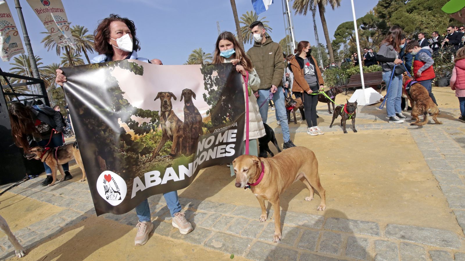 Imágenes de la 'Fiesta de San Antón 2022'