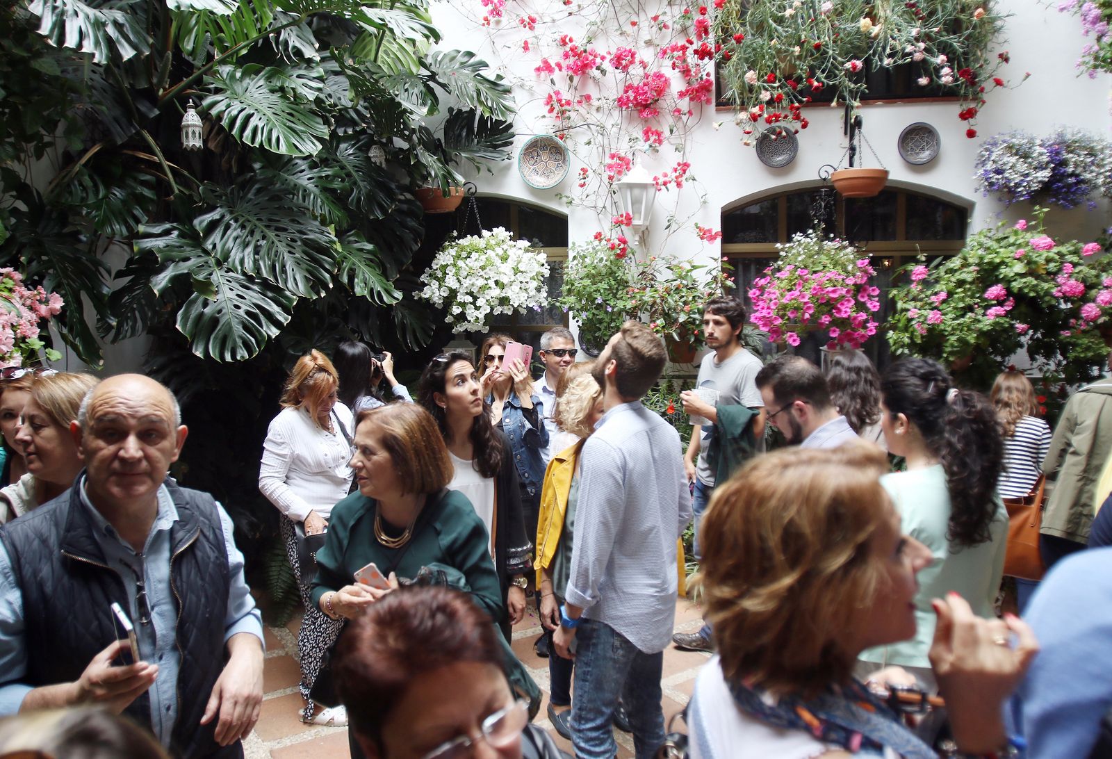 Ambiente en los patios ganadores de 2017