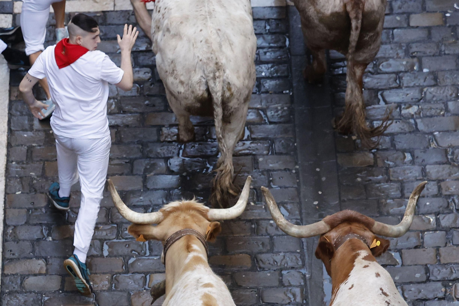 Día de San Fermín (7620172).jpg