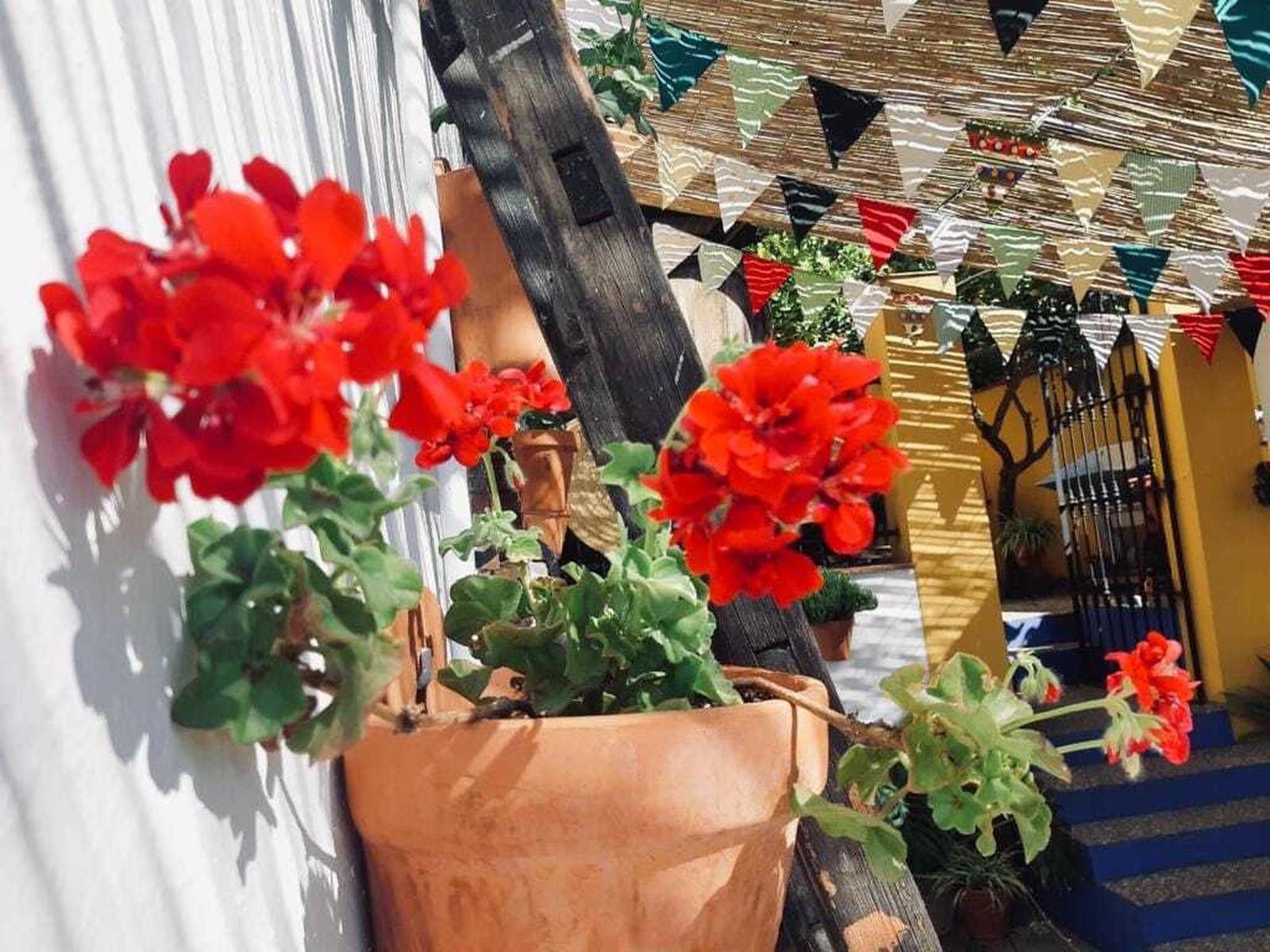 El evento auna la cultura del vino y las instalaciones y patios de las bodegas montillanas