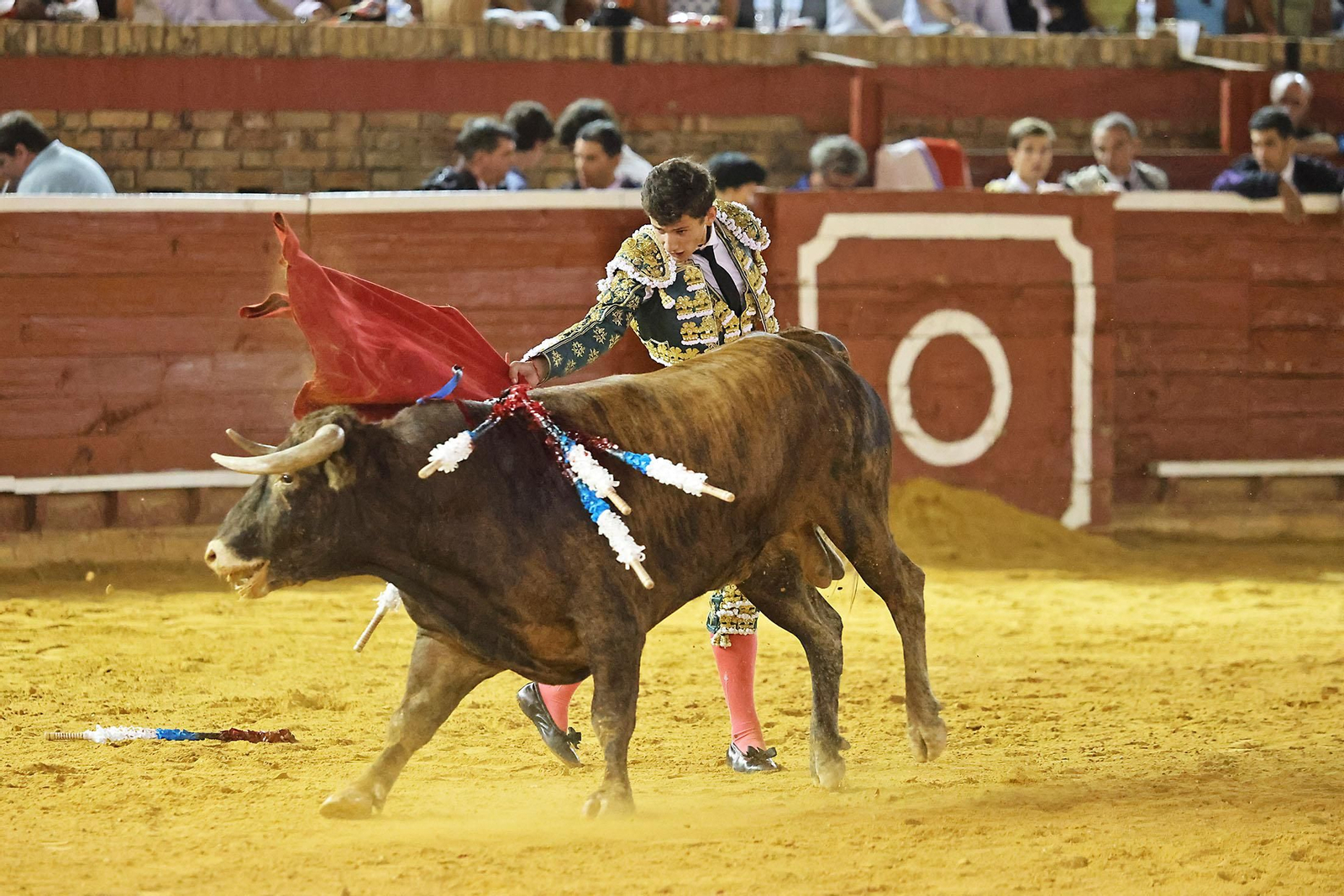 Toros La Merced 2024 Novillada con picadores(