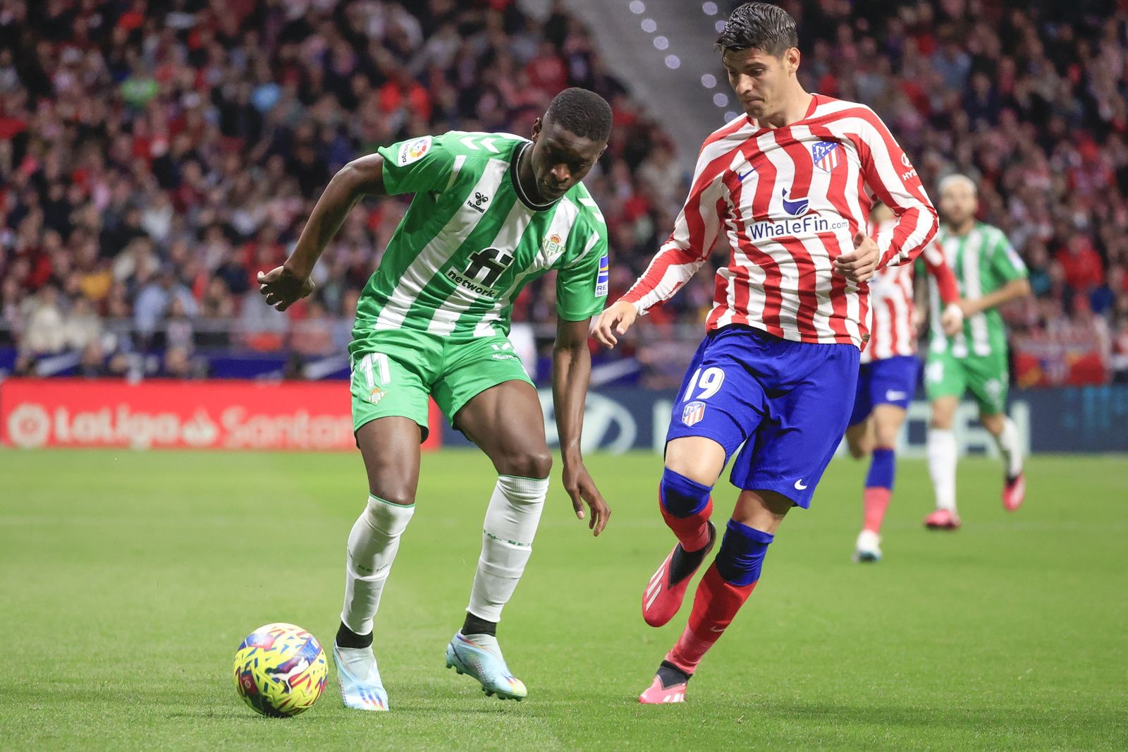 Las fotos del Atlético Madrid - Betis