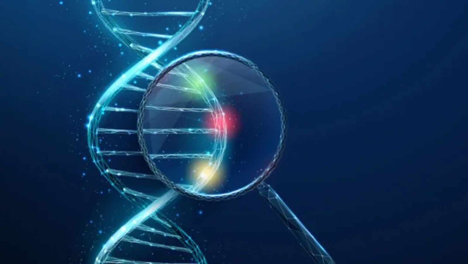 La doble hélice del ADN.