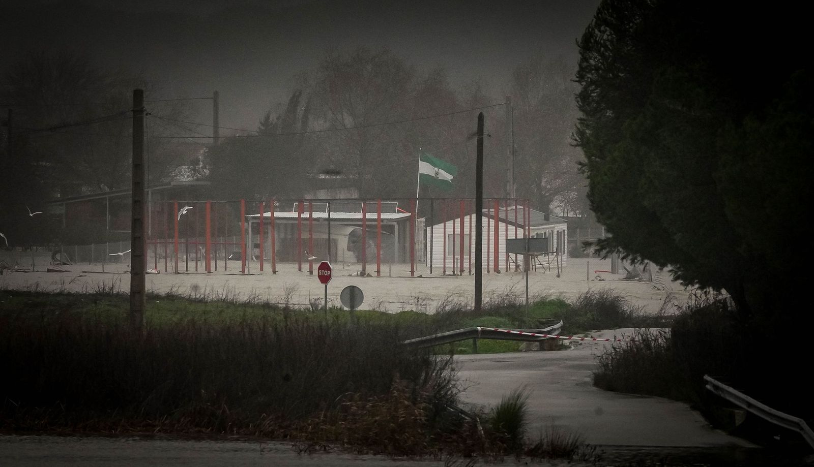 Imágenes de las graves consecuencias de la crecida del rio Guadalete en la zona rural de Jerez