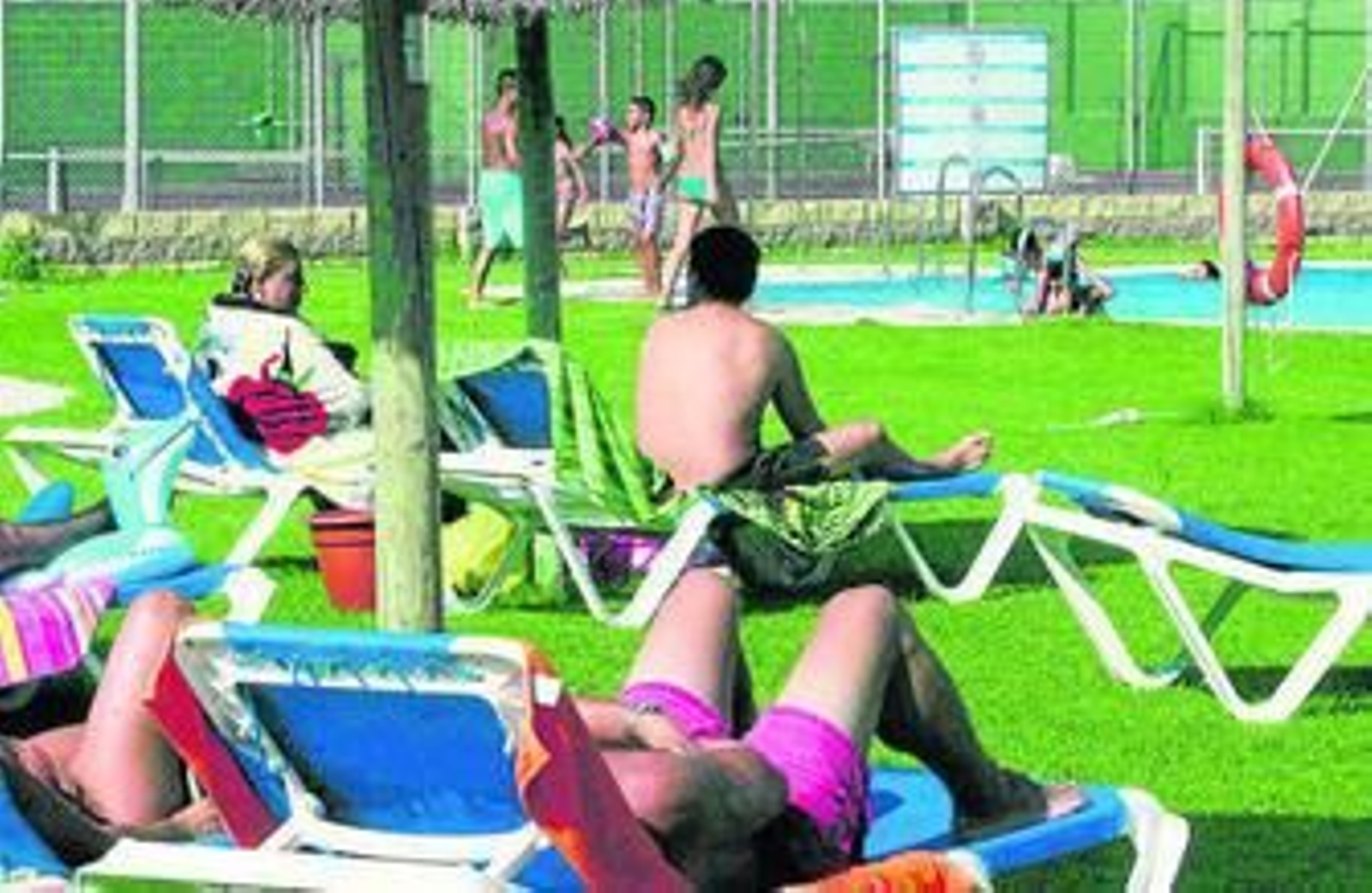Los falsos 'mitos' del verano sobre los hongos