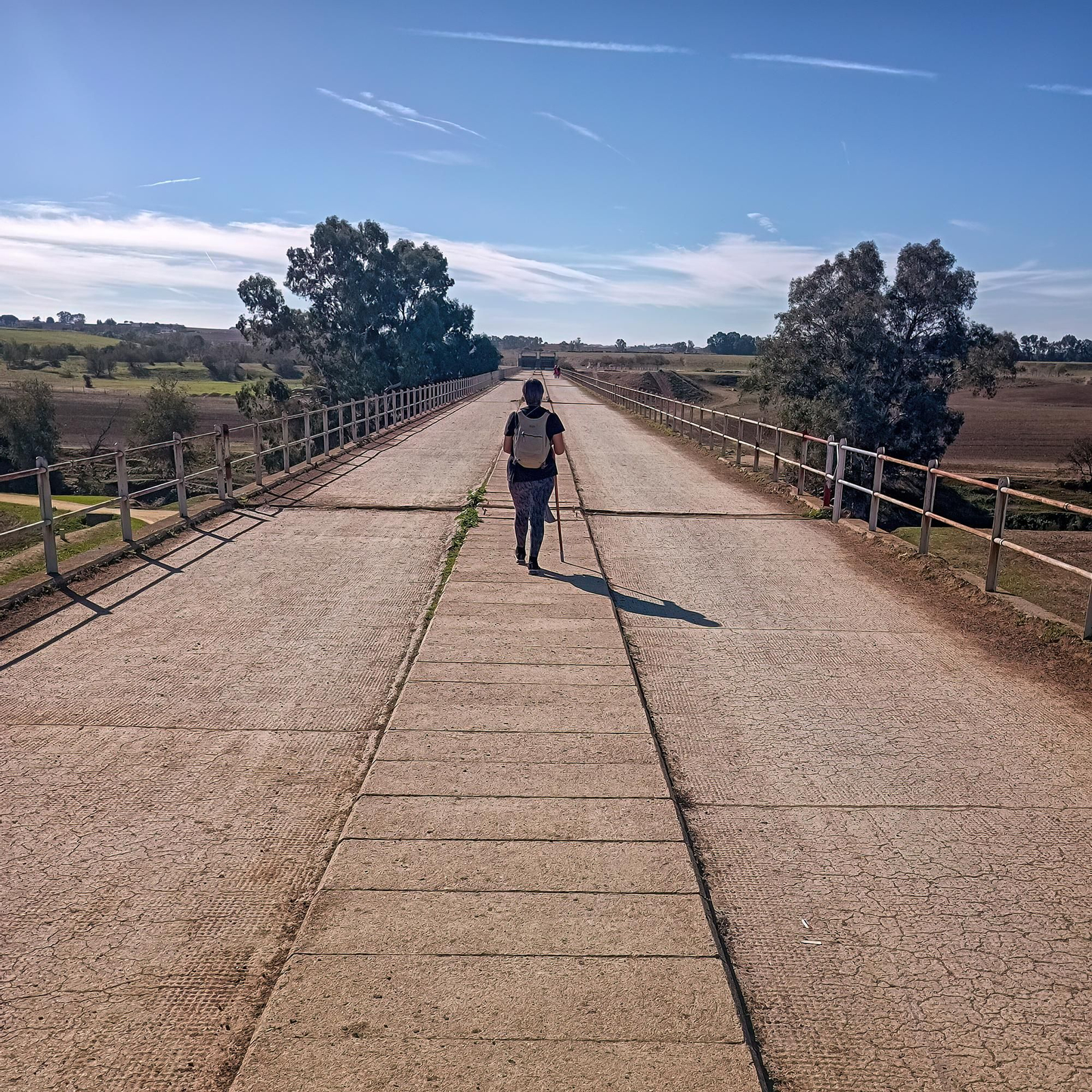 1º PREMIO ESPECIAL- CAMINANDO POR UN PUENTE DE ESPERANZA HACIA SANTIAGO.jpg