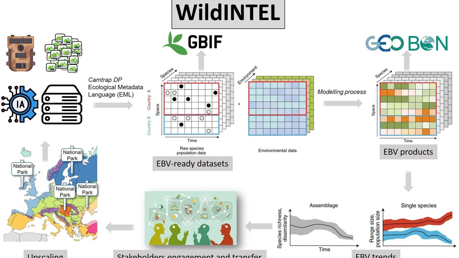 Esquema representativo del proyecto WildINTEL.