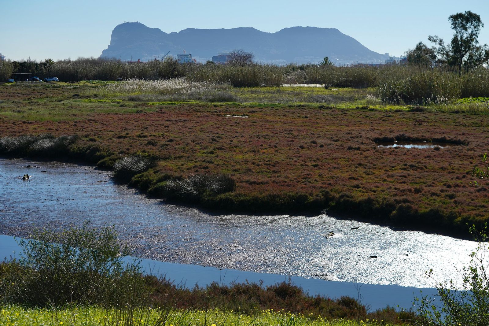 Fotos de la contaminación en el paraje natural marismas del Río Palmones