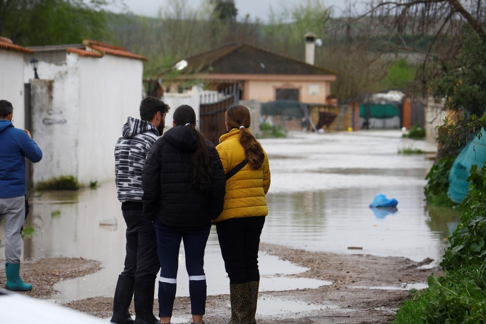 Las imágenes de las parcelaciones inundadas por la crecida del río Guadalquivir