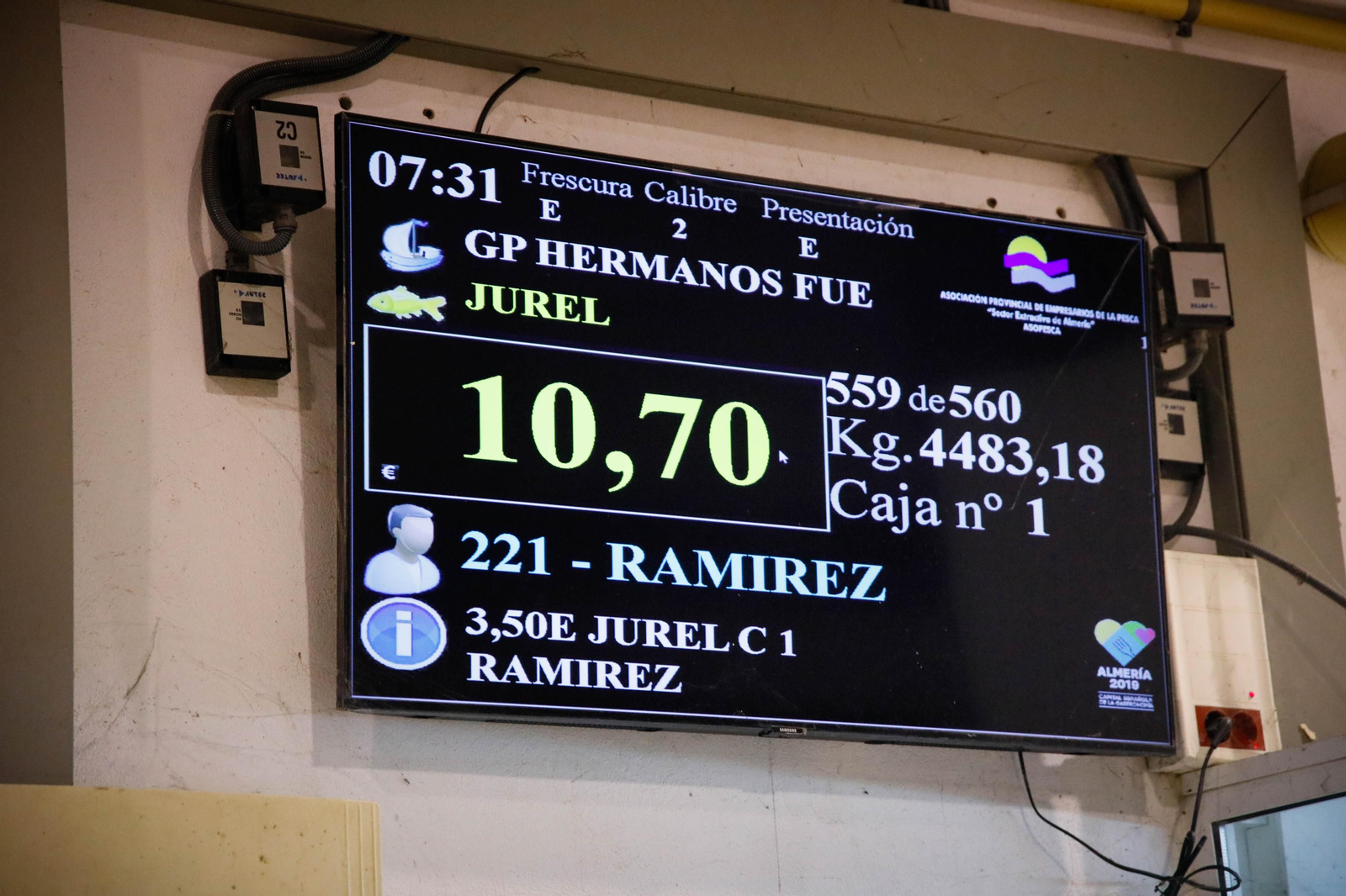 Te contamos en imágenes como ha sido la descarga de las traiñas en la lonja de Almería