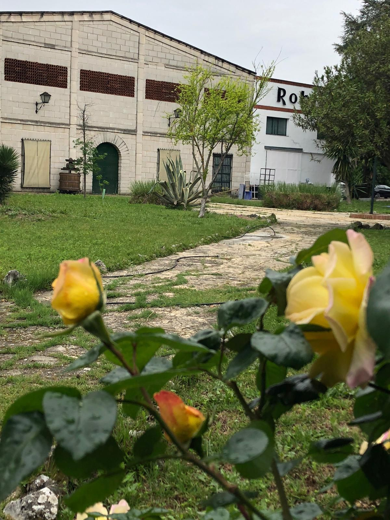 Las fotografías de la primavera en la Campiña de Córdoba