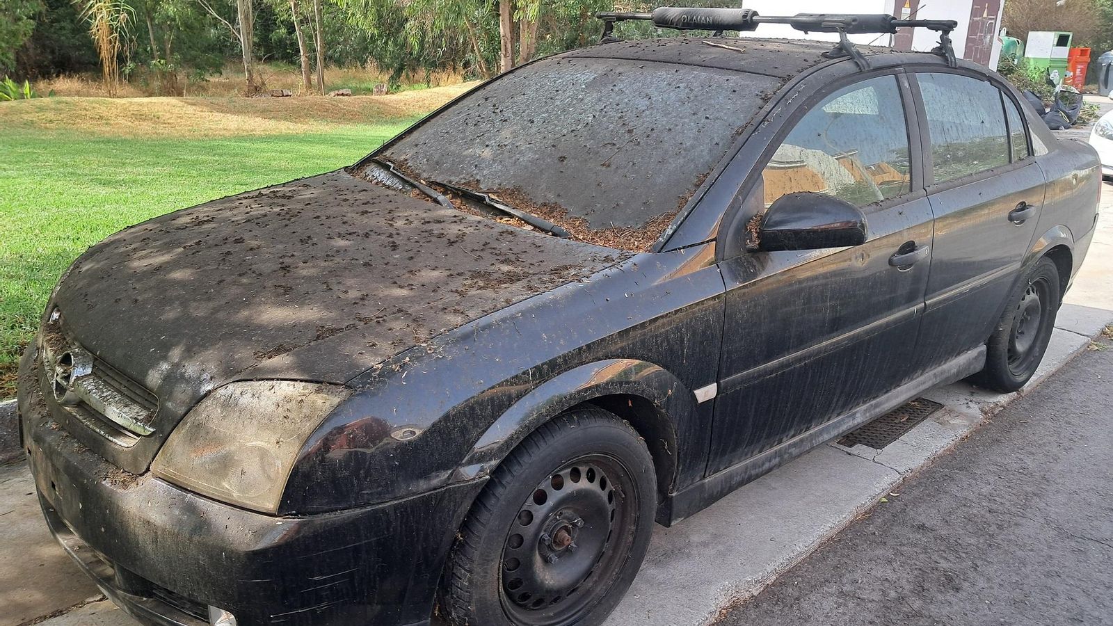 El coche abandonado en la urbanización Mirador del Río.