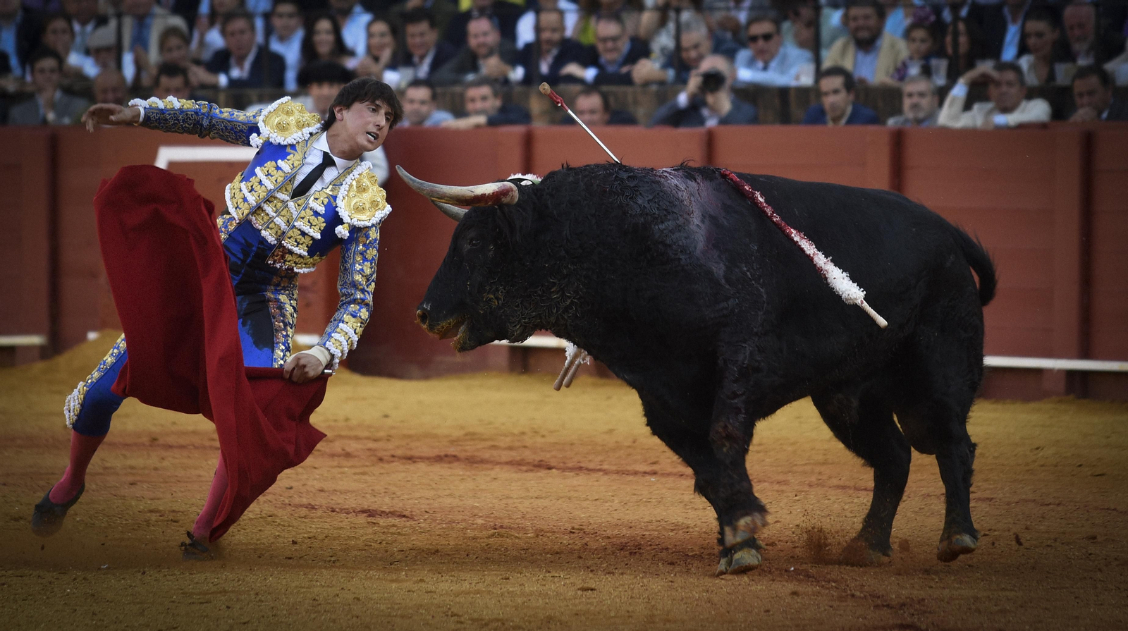Las mejores imágenes del duodécimo festejo de toros