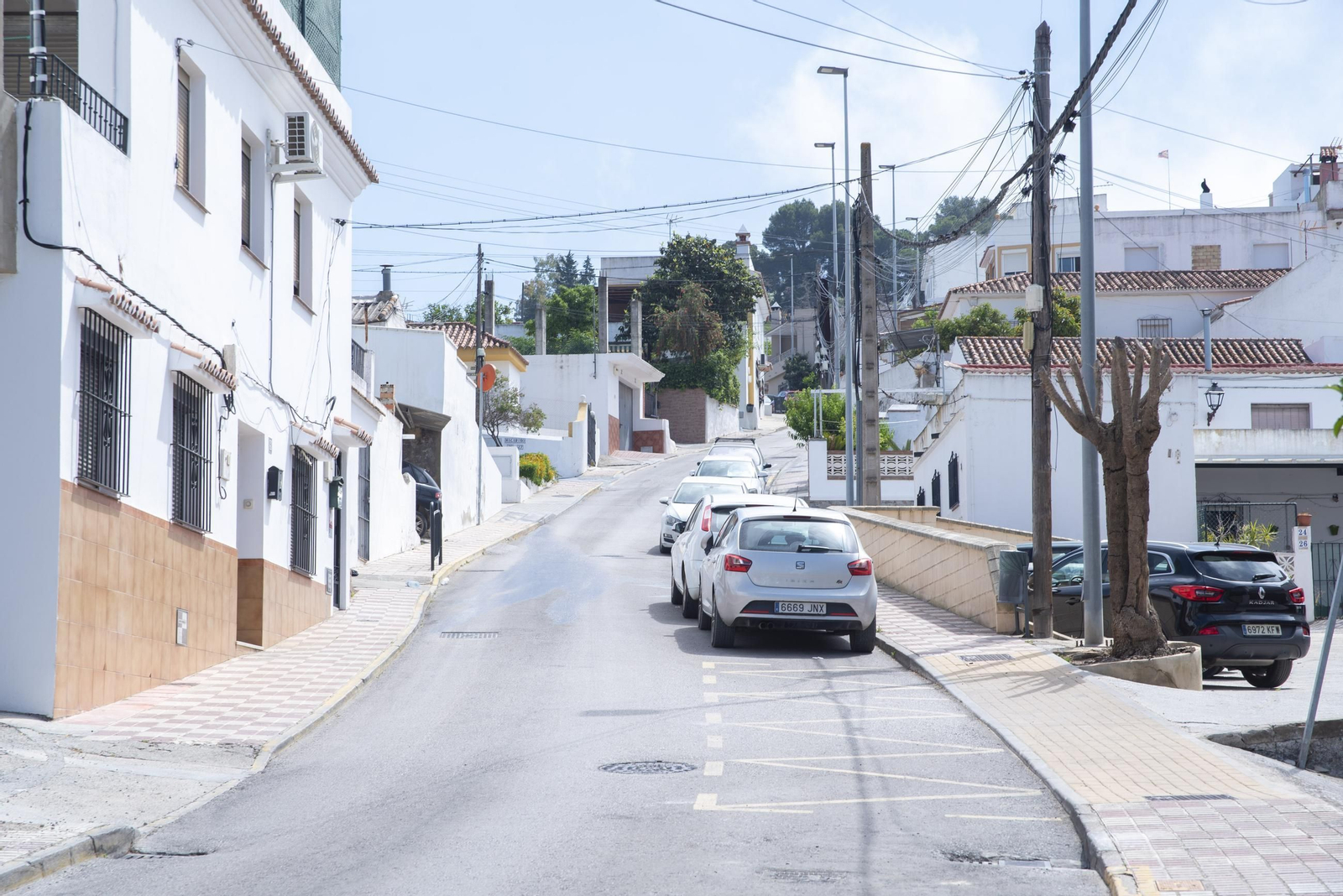 Fotos de una mañana de primavera en el Valle del Guadiaro