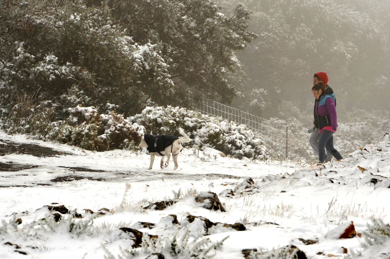 Una pareja paseando con su perro en la nieve caída ayer en Grazalema.