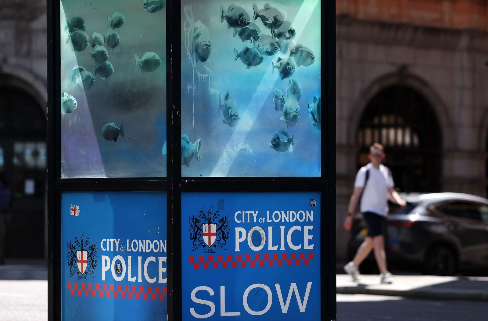 La serie animal del artista Banksy, al completo