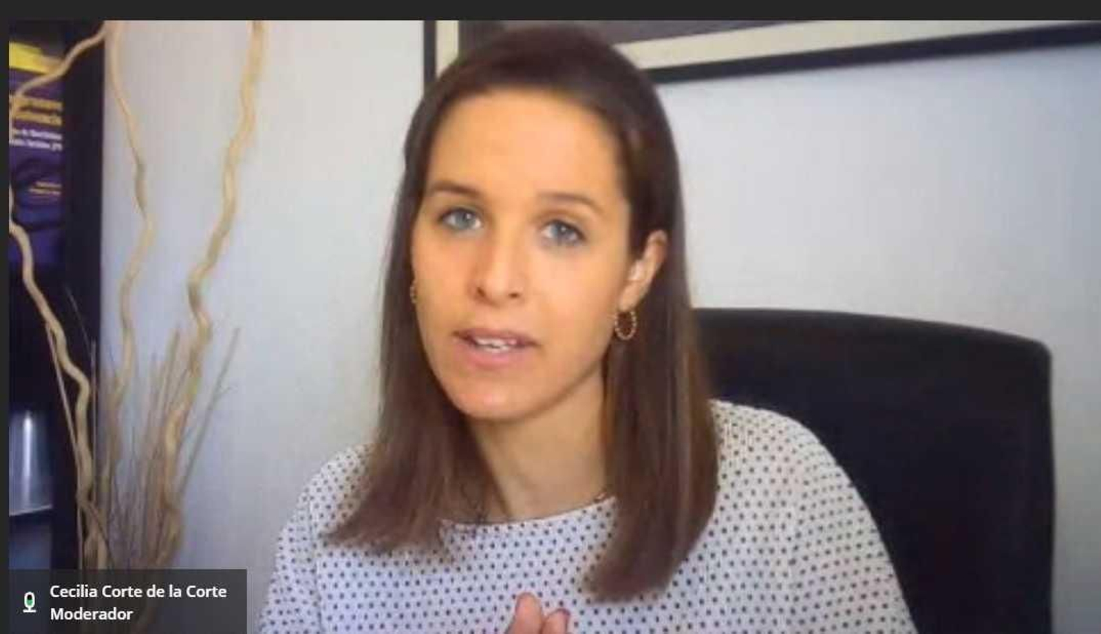 Cecilia de la Corte, durante su ponencia.